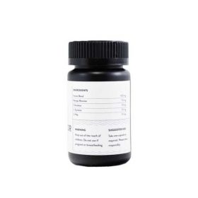 Think Mushrooms – #4 INNOVATOR BLEND